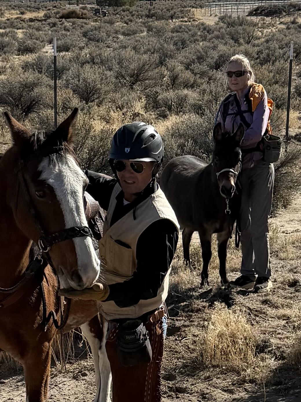 Trail friends with Lacey and a donkey in the Reno hills