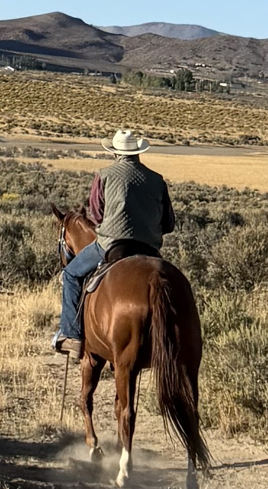 Jay riding Lacey on a trail through Nevada sagebrush