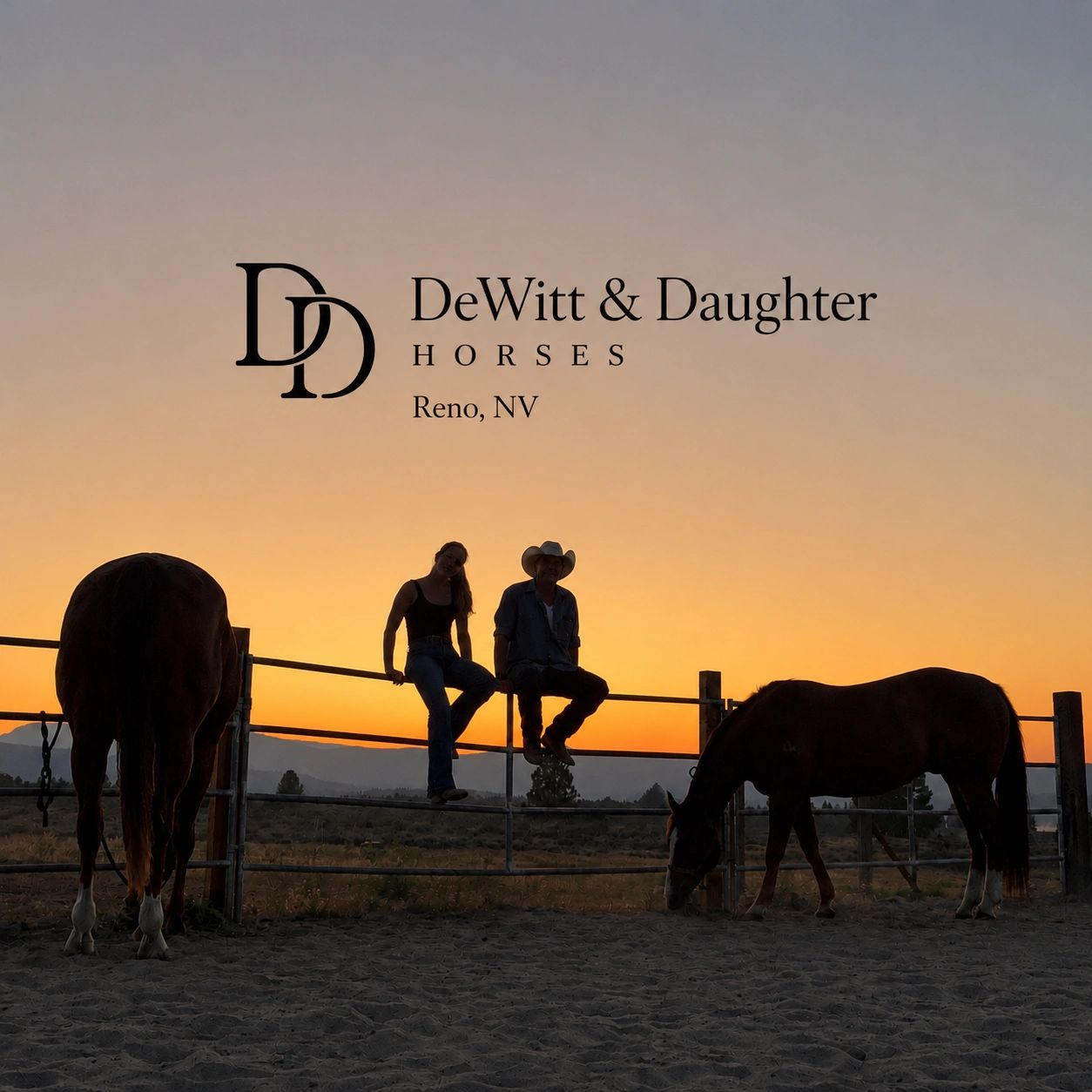 The original DeWitt and Daughter Horses logo above Boo, Jay, and horses at sunset in Reno
